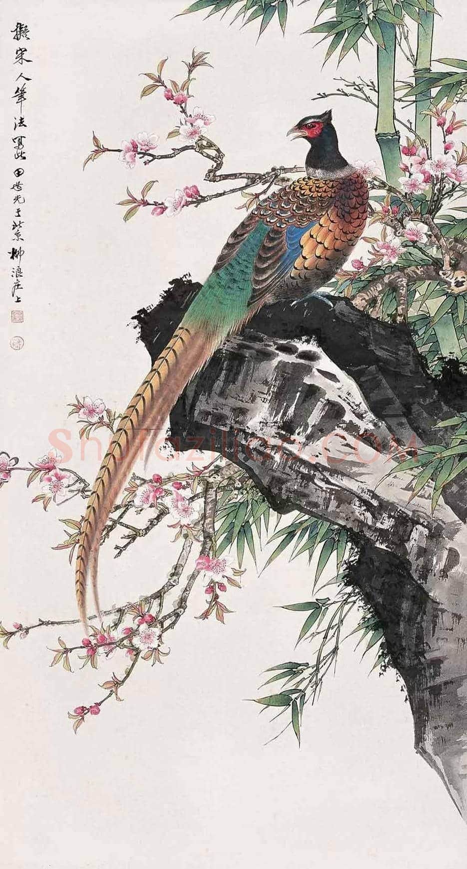 田世光笔下的孔雀，栩栩如生，仙气十足！ | 书画文摘