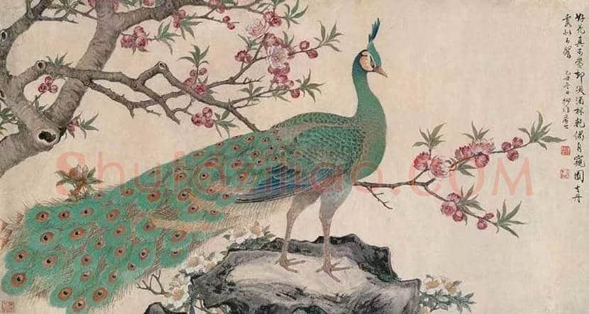 陆抑非孔雀作品欣赏 | 书画常识