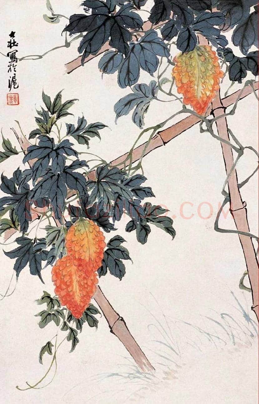 张大壮花鸟画作品欣赏 | 书画文摘