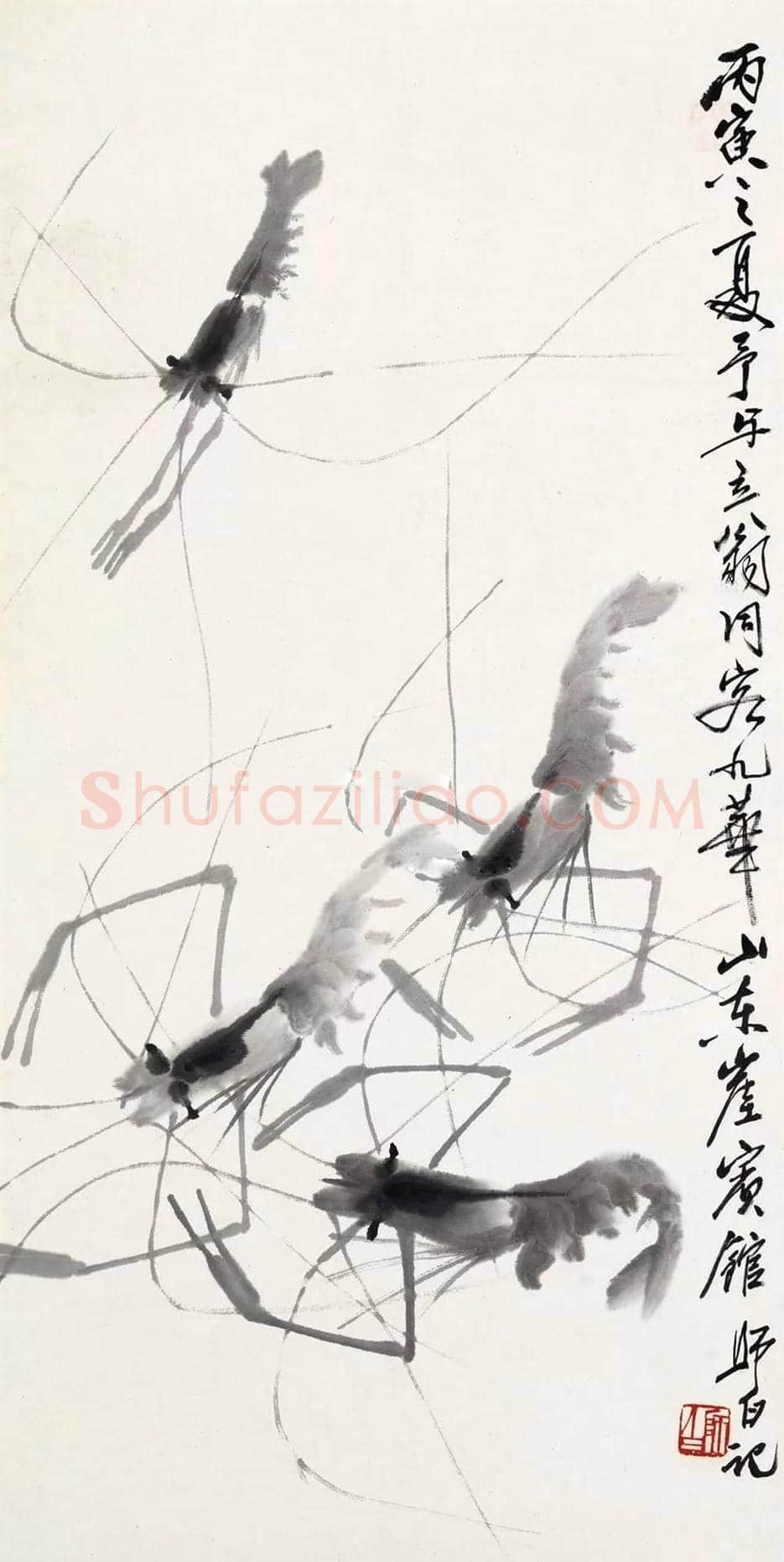 娄师白画虾作品欣赏 | 书画知识