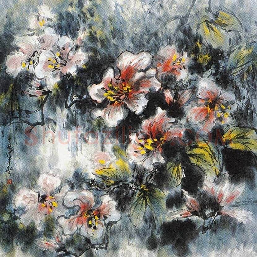 沈柔坚花鸟画作品欣赏 | 书画科普