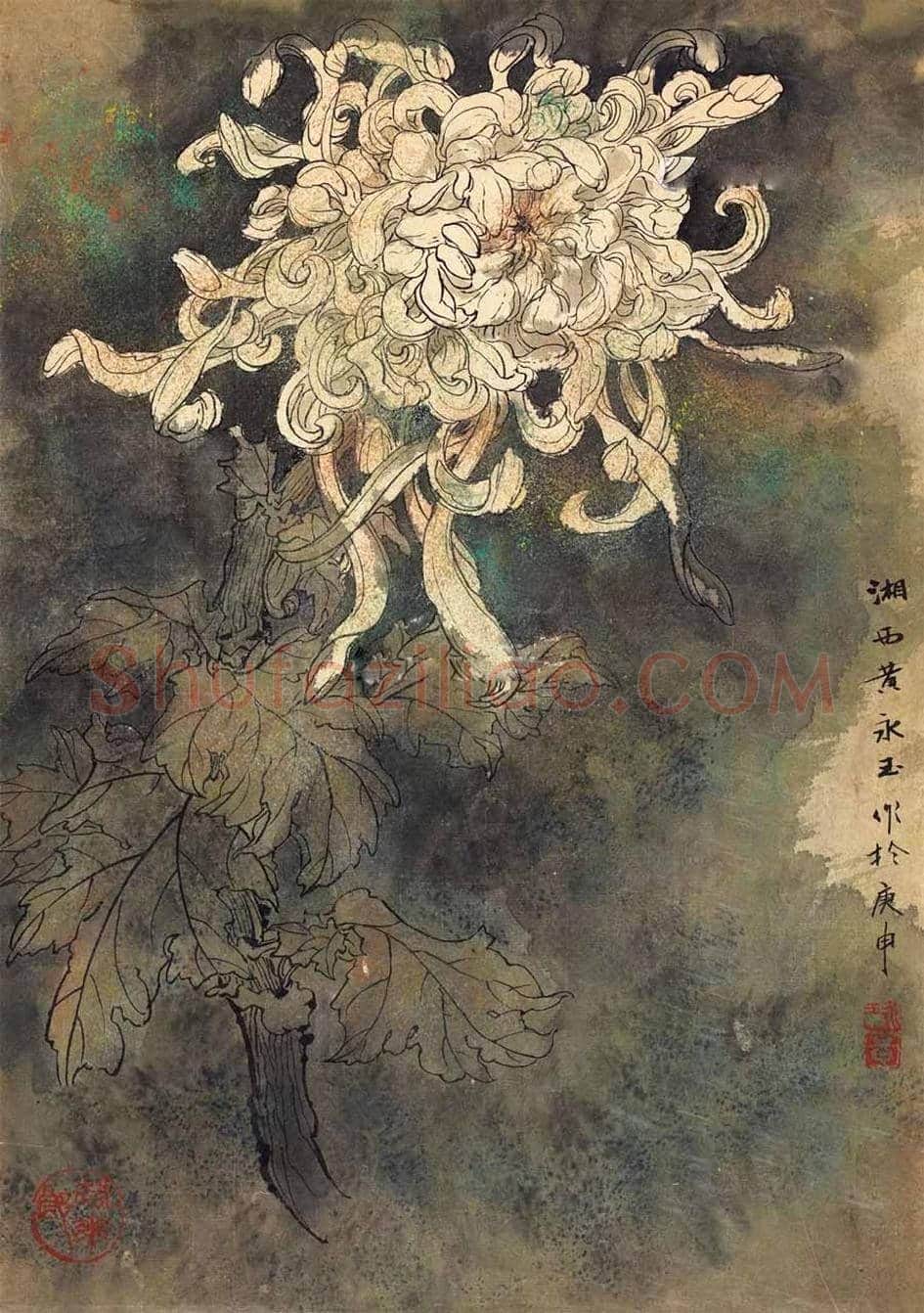 黄永玉笔下的菊花图赏 | 书画文摘