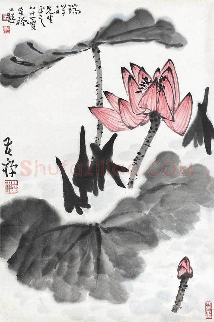李苦禅荷花作品欣赏【高清大图】 | 书画百科