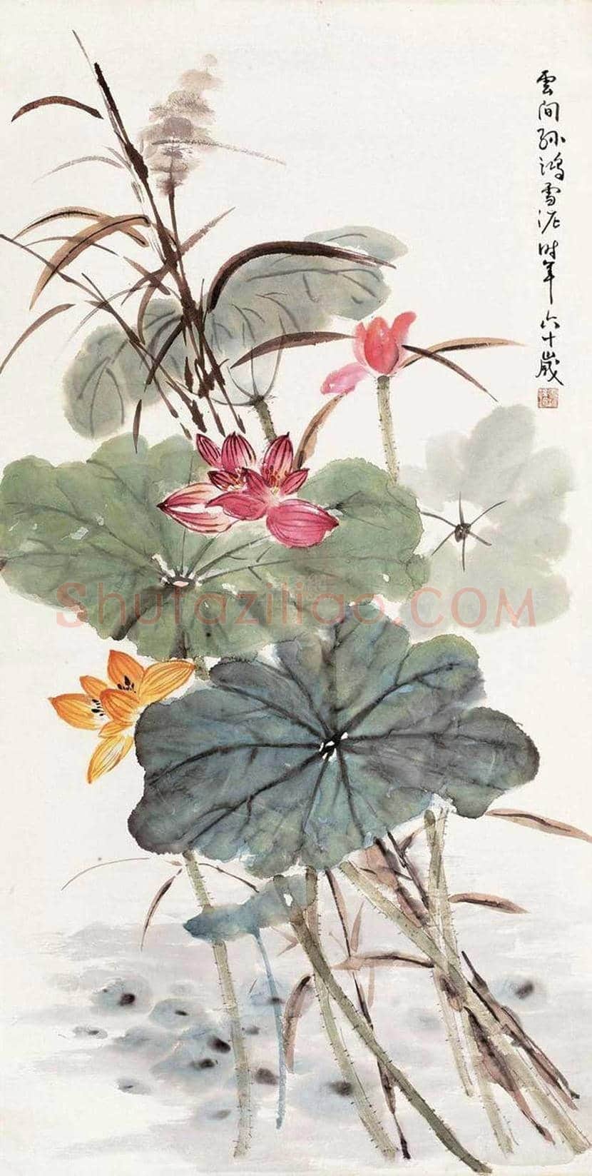 孙雪泥作品欣赏 | 书画讲解