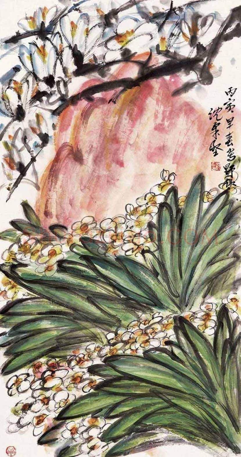 沈柔坚花鸟画作品欣赏 | 书画科普