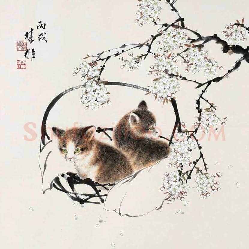 名家画猫作品欣赏 | 书画文摘