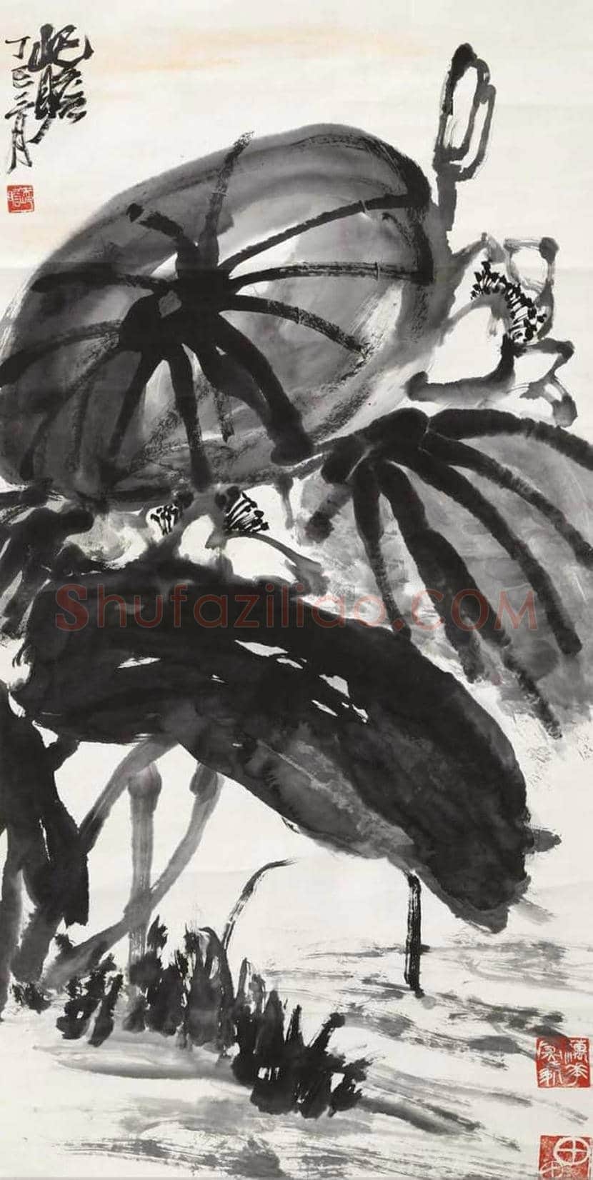 朱屺瞻荷花作品欣赏 | 书画科普