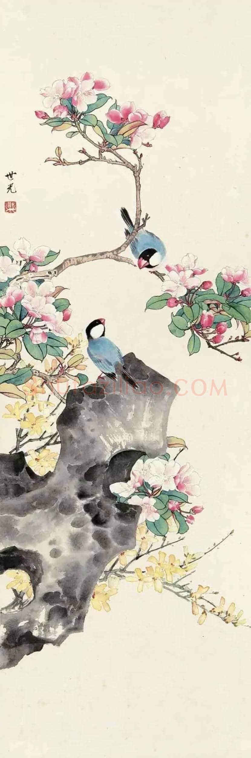 田世光花鸟画作品欣赏 | 书画科普