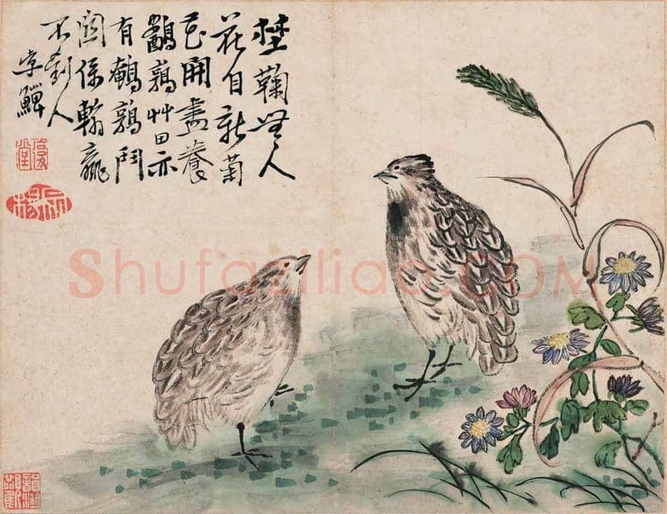 李鱓花鸟册页欣赏 | 书画讲解
