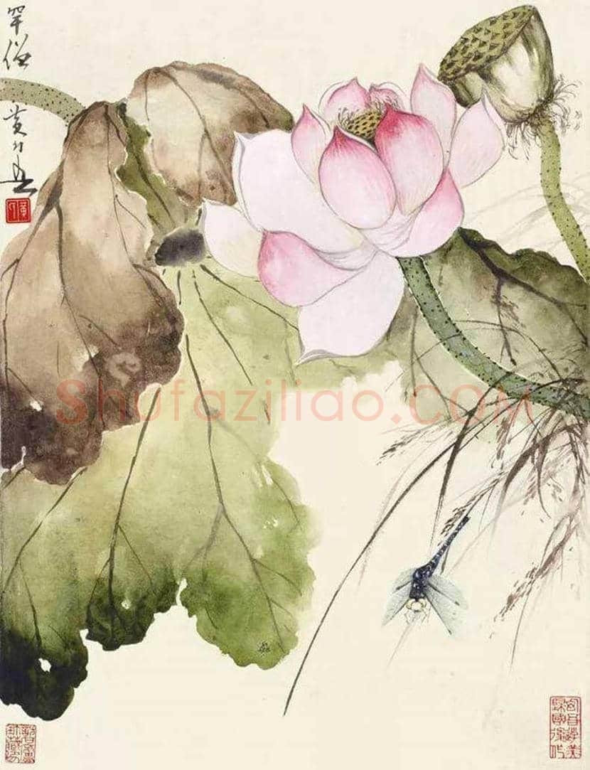 赵少昂的夏日荷塘，美！ | 书画资料