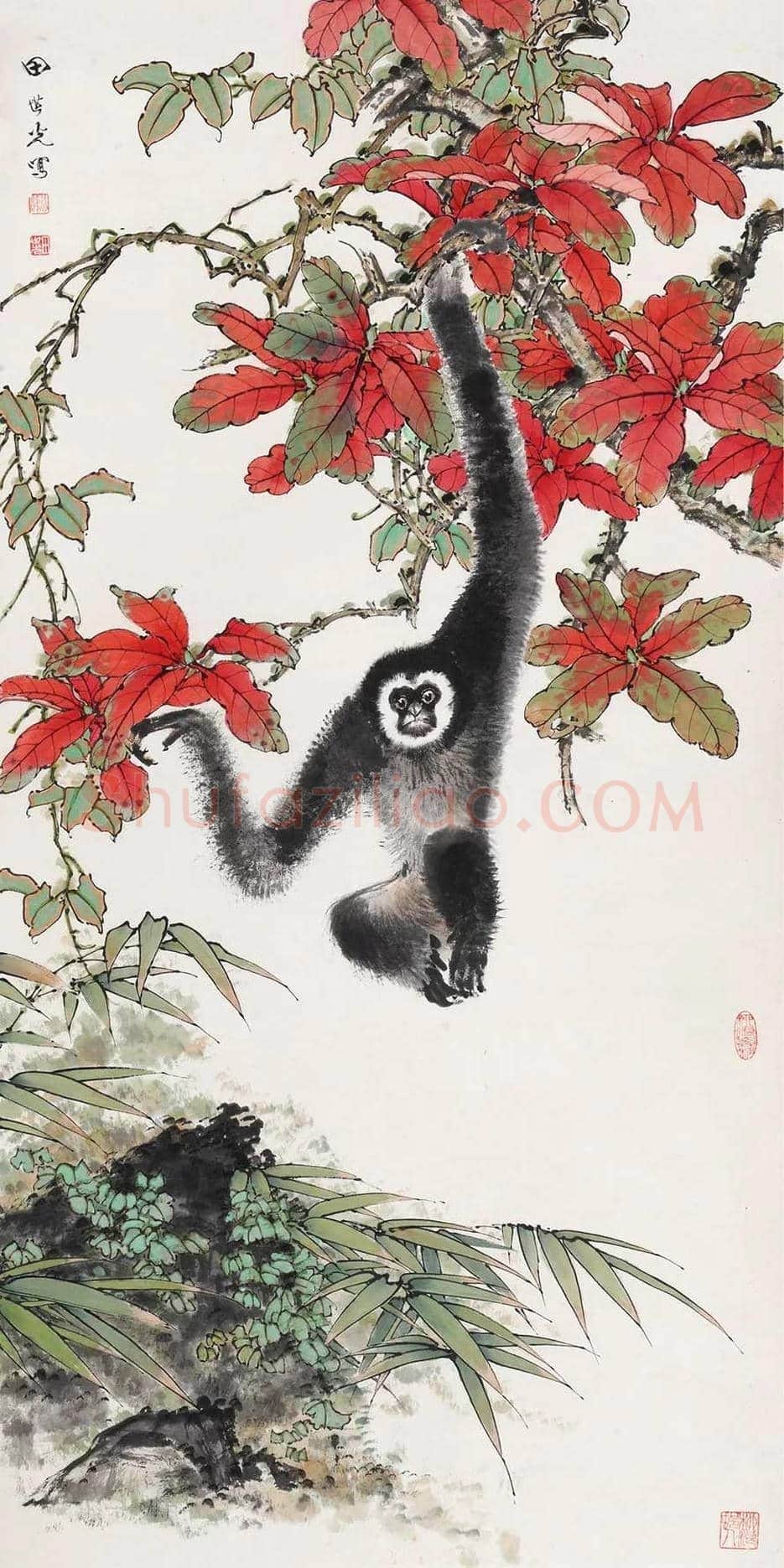田世光猿猴作品精选 | 书画文摘