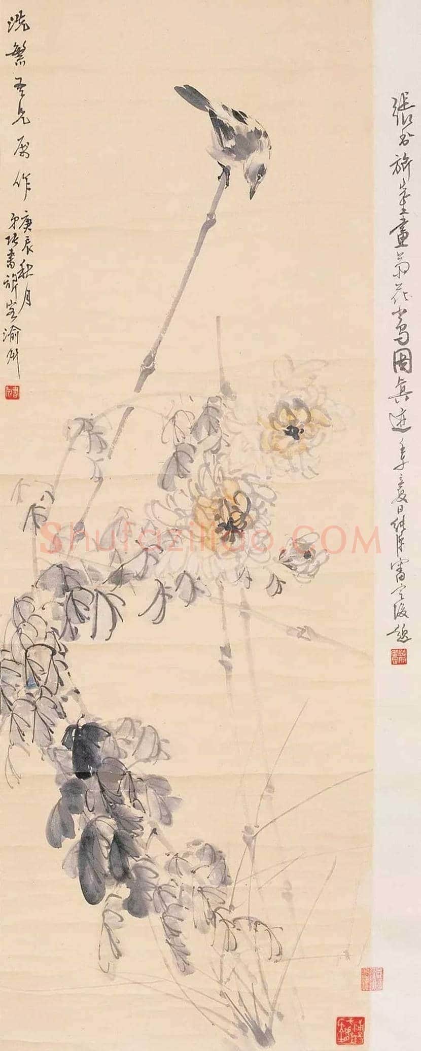 张书旂花鸟画作品欣赏 | 书画讲解