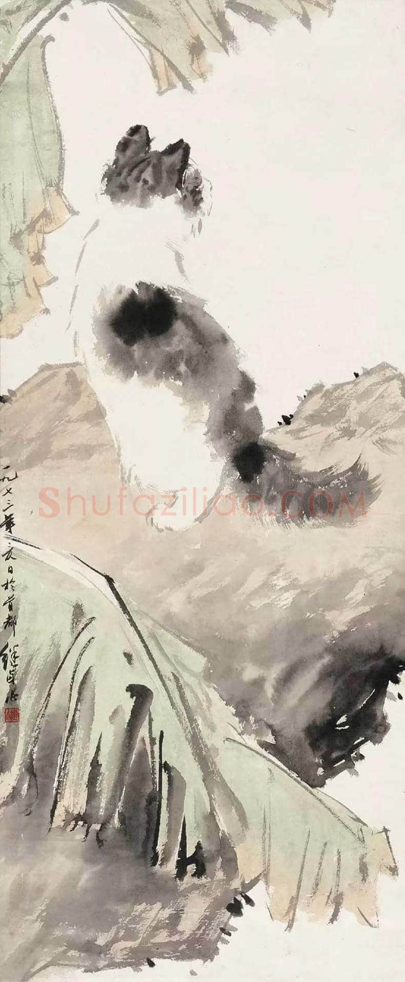 名家画猫作品欣赏 | 书画文摘