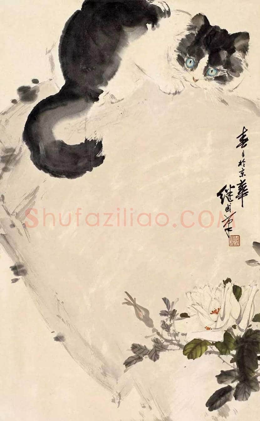 名家画猫作品欣赏 | 书画文摘