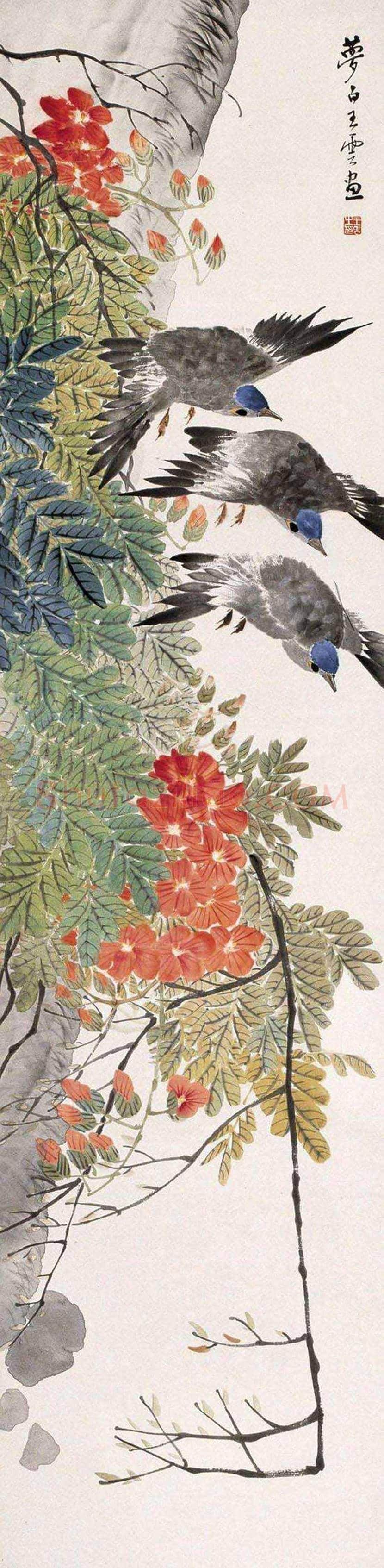 王梦白花鸟画作品欣赏 | 书画讲解