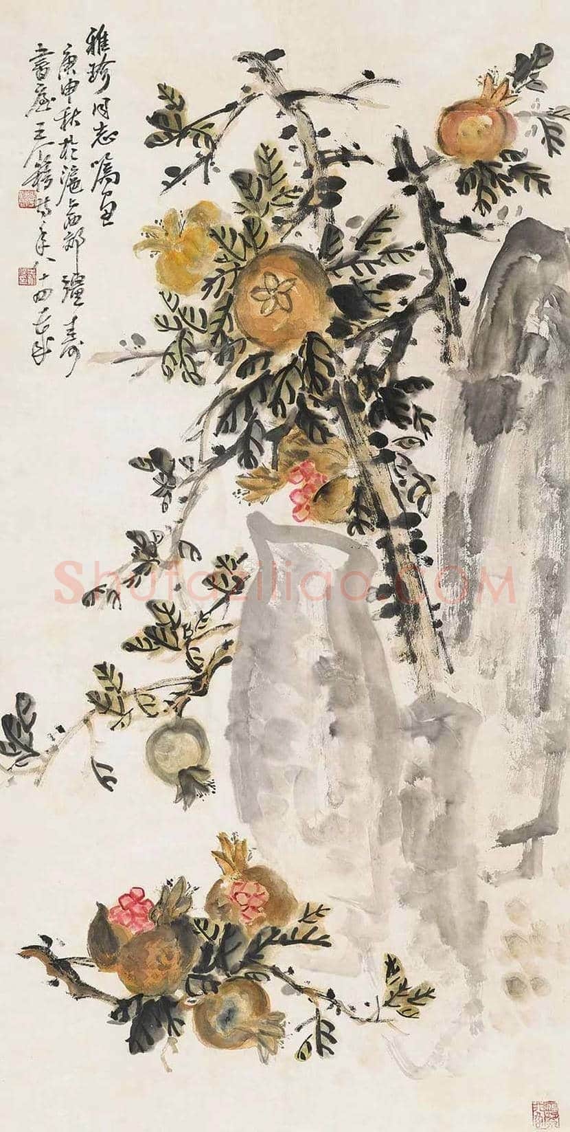 王个簃花鸟画作品欣赏 | 书画文摘