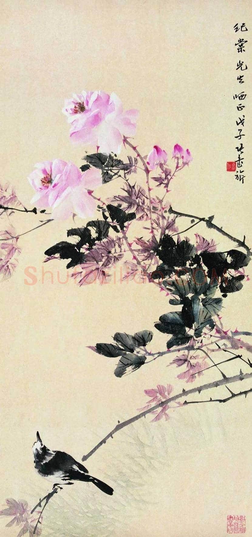 张书旂花鸟画作品欣赏 | 书画讲解
