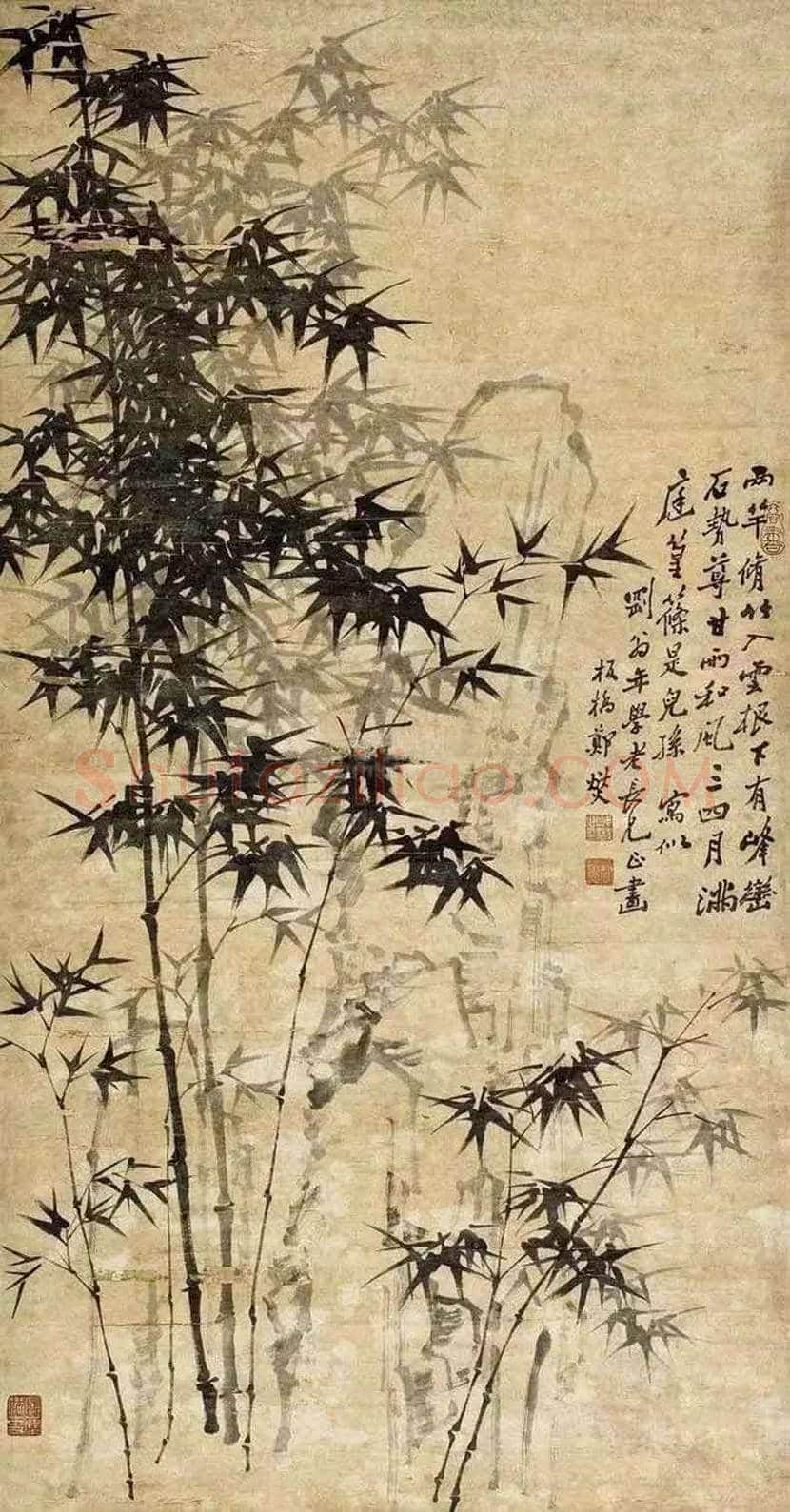 郑板桥笔下的竹子,养心又养性 | 书画科普