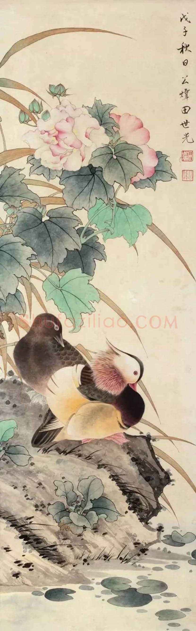 田世光花鸟画作品欣赏 | 书画科普