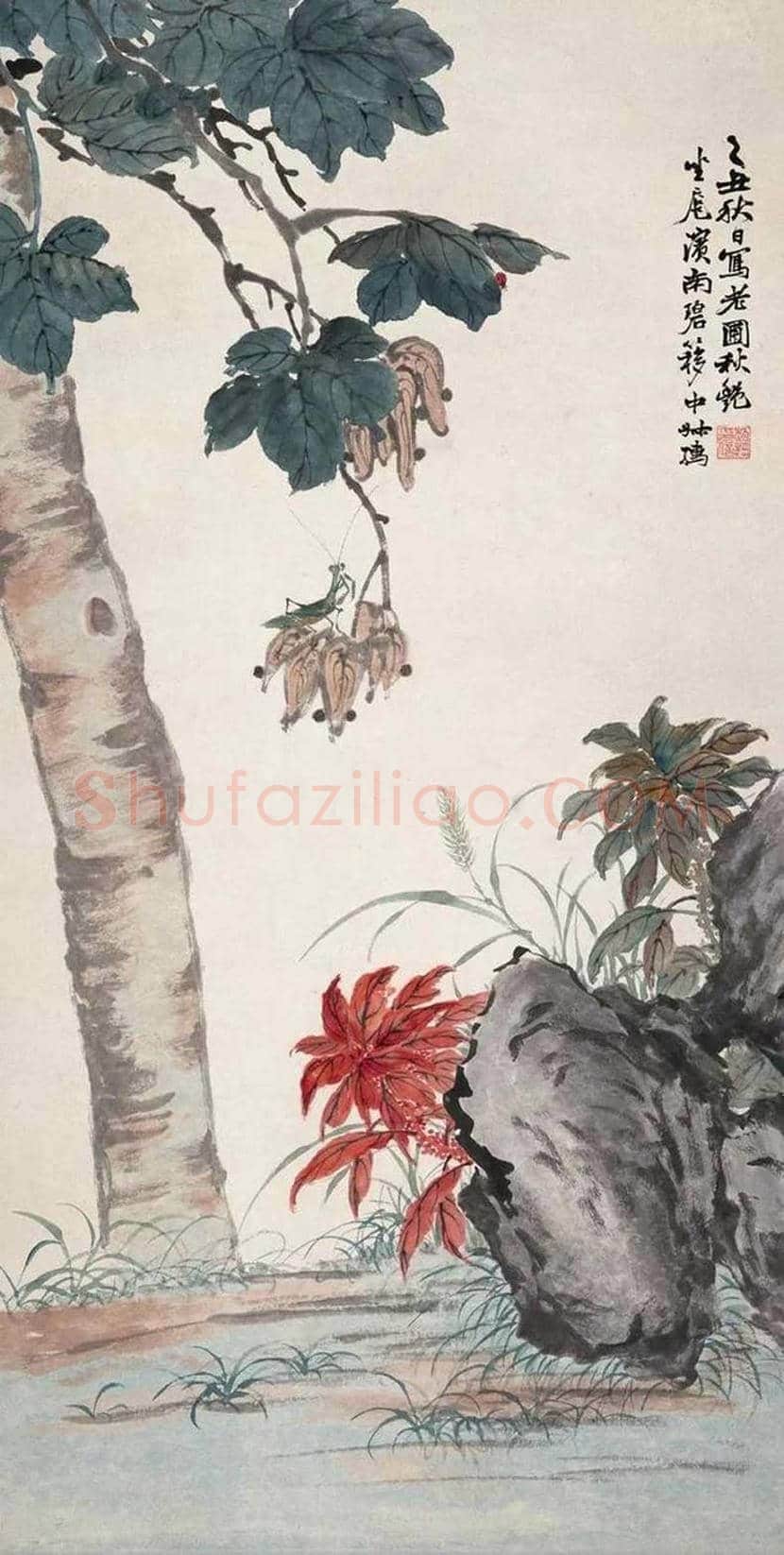 赵叔孺花鸟画欣赏 | 书画科普