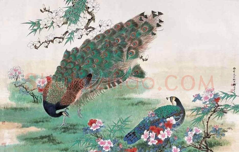 田世光笔下的孔雀，栩栩如生，仙气十足！ | 书画文摘