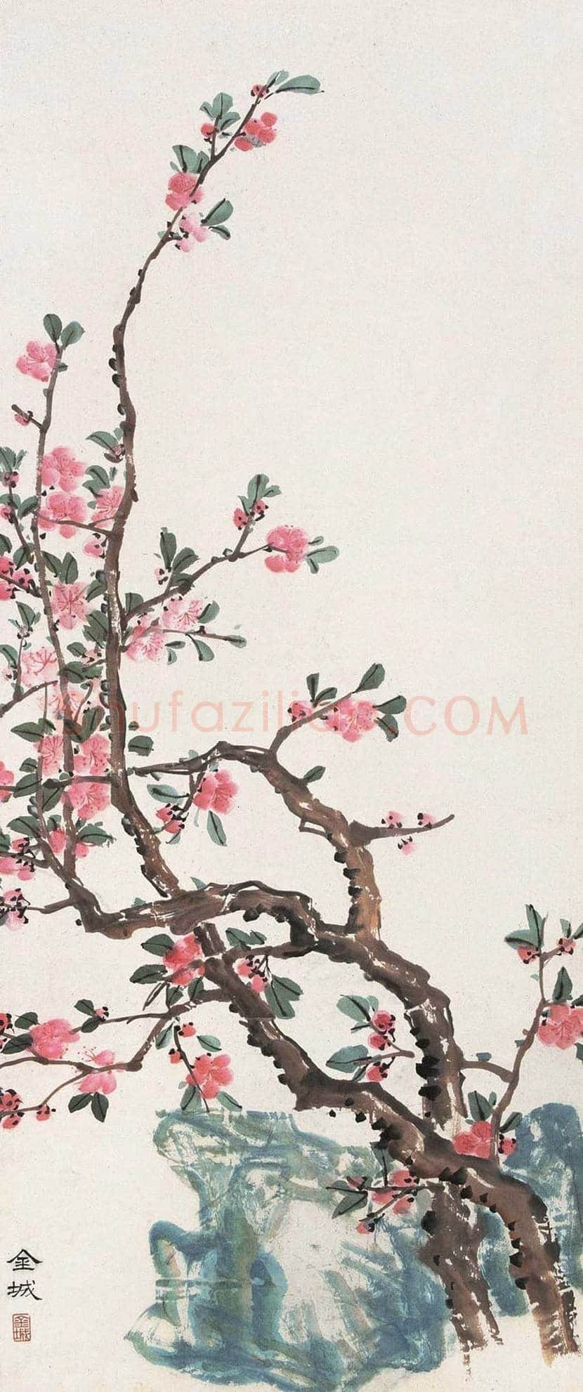 金城花鸟画作品欣赏 | 书画学堂