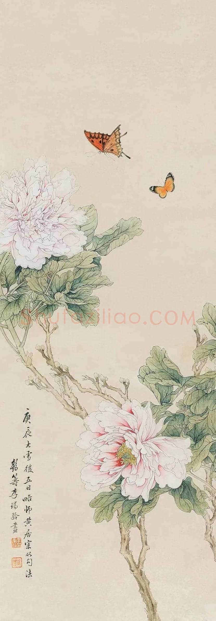 李鹤筹花鸟画作品欣赏 | 书画文摘