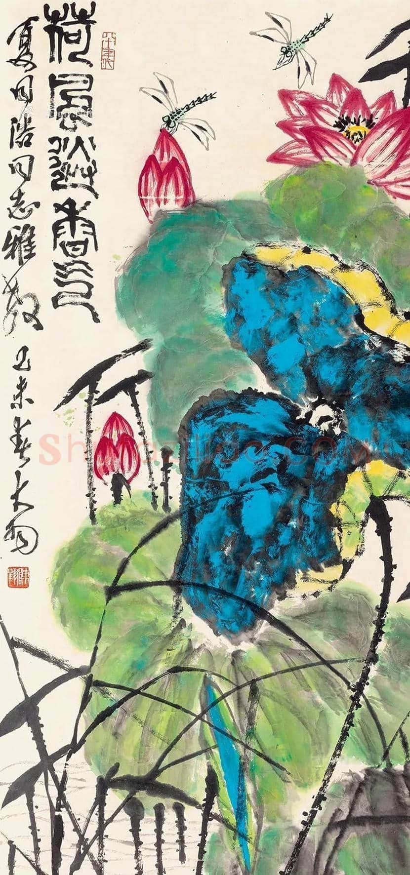 陈大羽荷花作品欣赏 | 书画知识