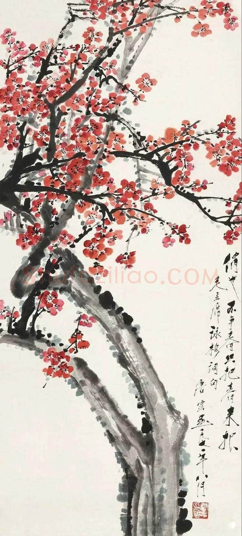 唐云花鸟画作品欣赏 | 书画学堂