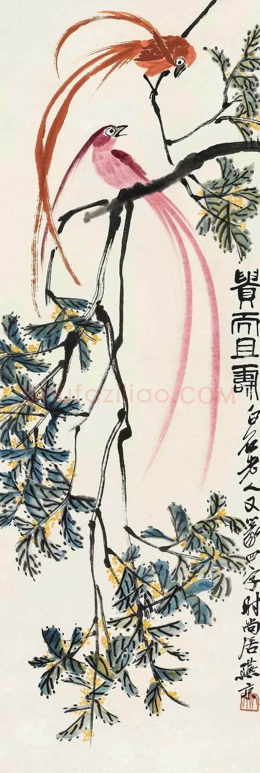 齐白石的人间清欢 | 书画知识