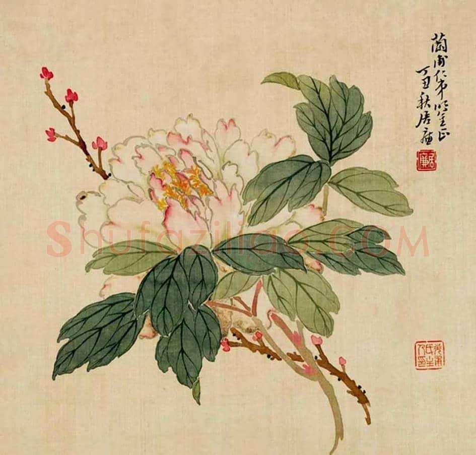 名家笔下的牡丹花【高清大图】 | 书画讲解