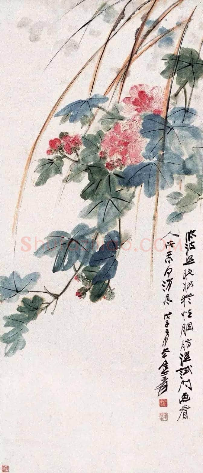 谢稚柳等名家笔下芙蓉花开 | 书画百科