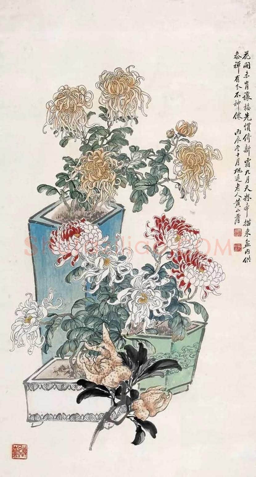 黄山寿花鸟画作欣赏 | 书画百科