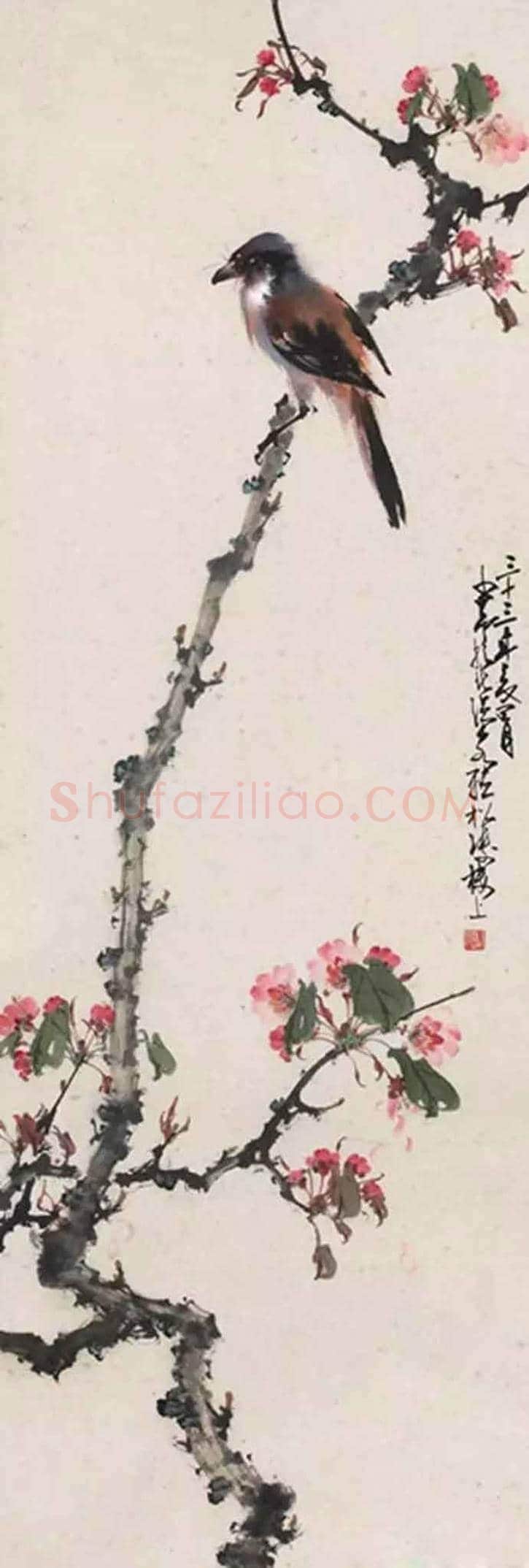 赵少昂花鸟鱼虫画欣赏 | 书画资料