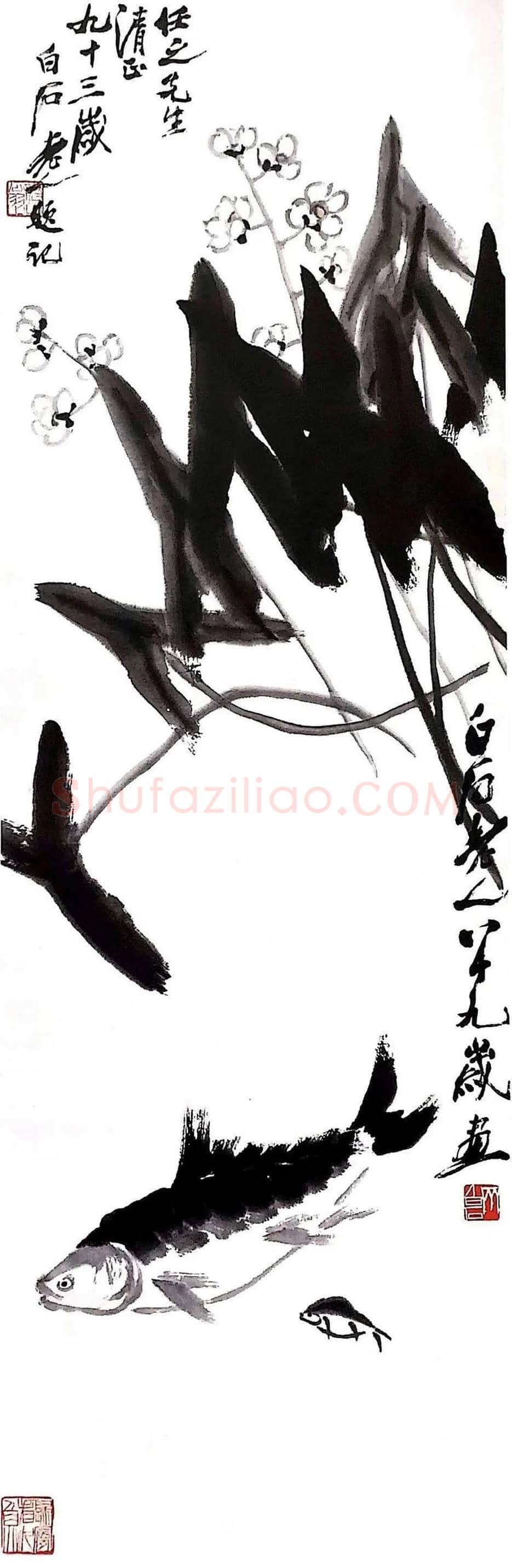 齐白石笔下的慈姑图赏 | 书画科普