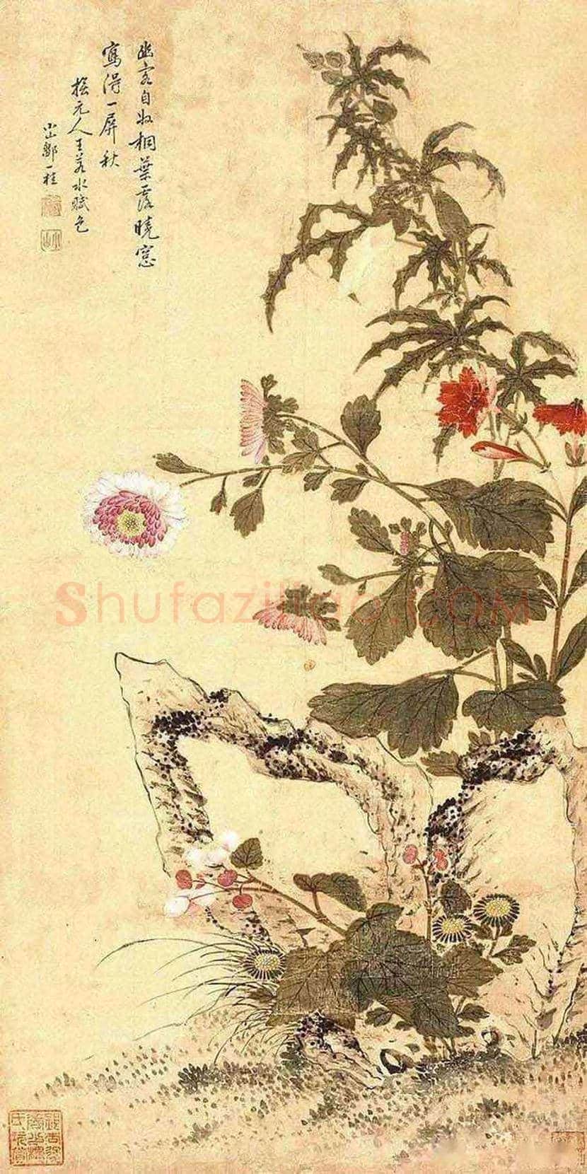 邹一桂工笔花鸟画作品欣赏 | 书画学堂