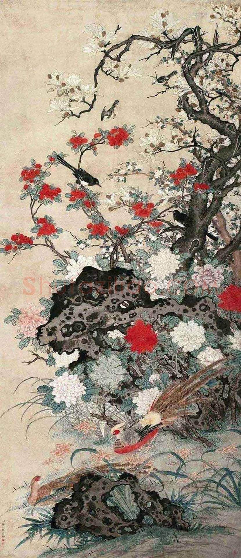 邹一桂工笔花鸟画作品欣赏 | 书画学堂