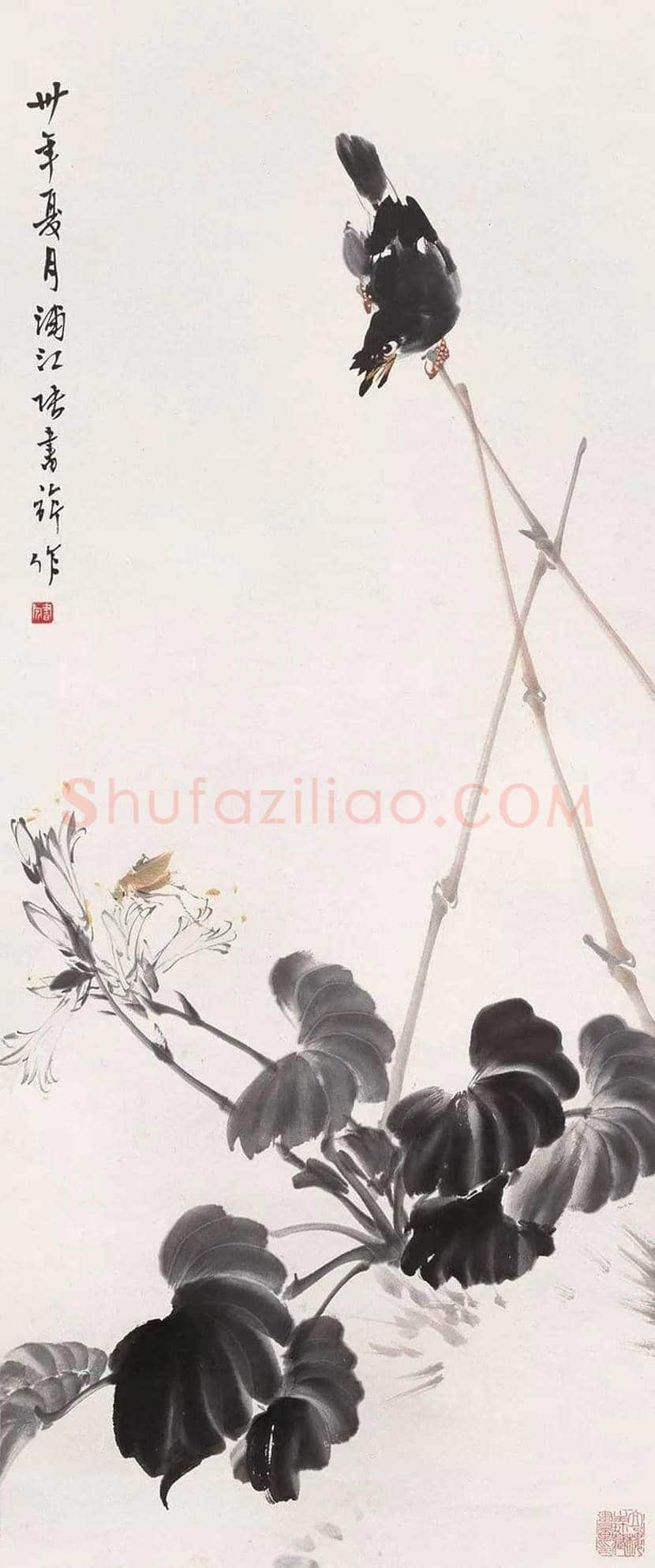张书旂花鸟画作品欣赏 | 书画讲解