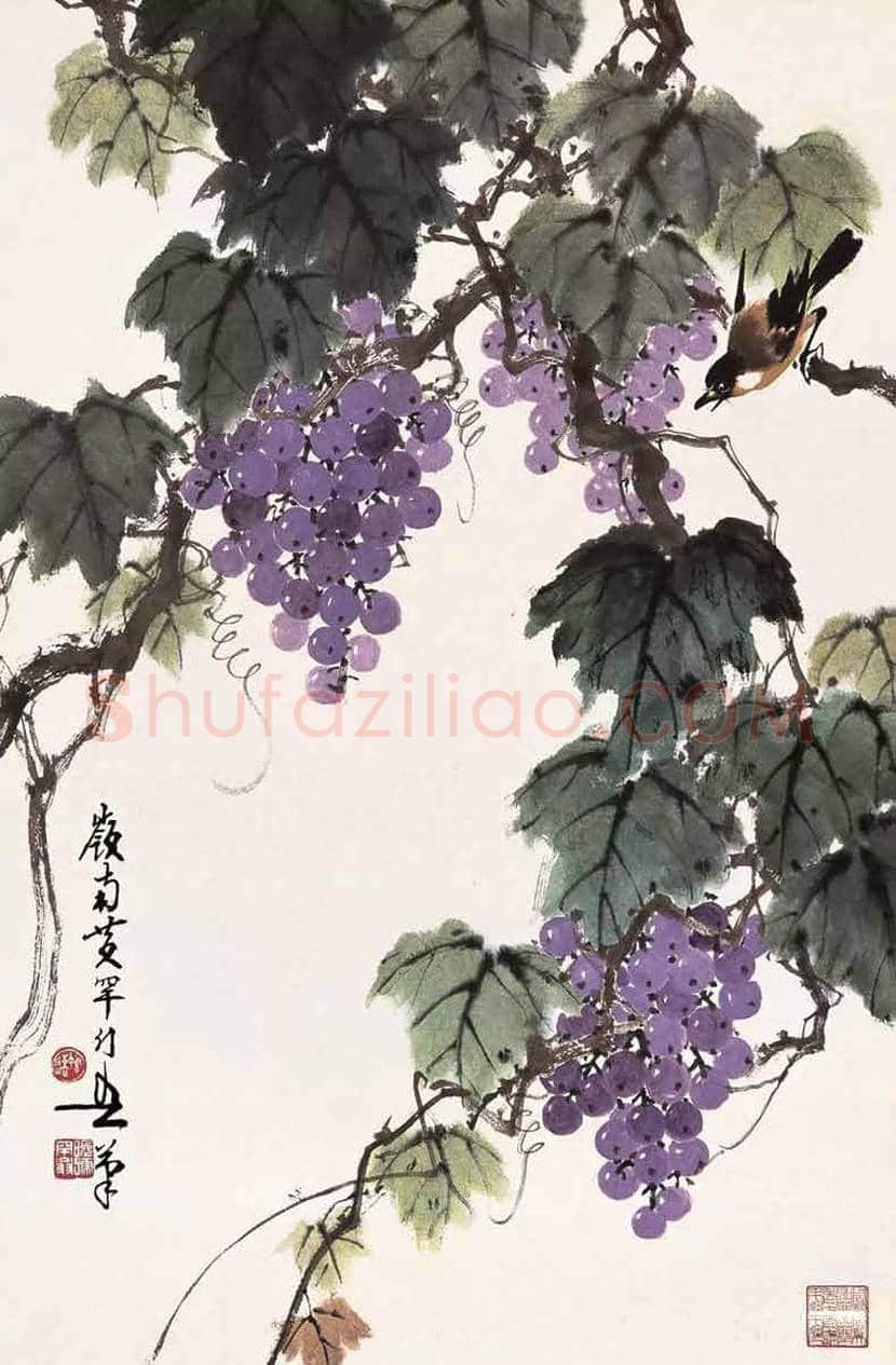 黄幻吾笔下的葡萄小鸟 | 书画常识