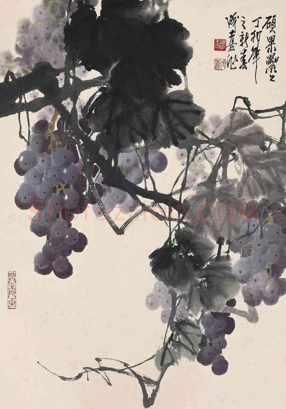 王成喜写意葡萄欣赏 | 书画科普