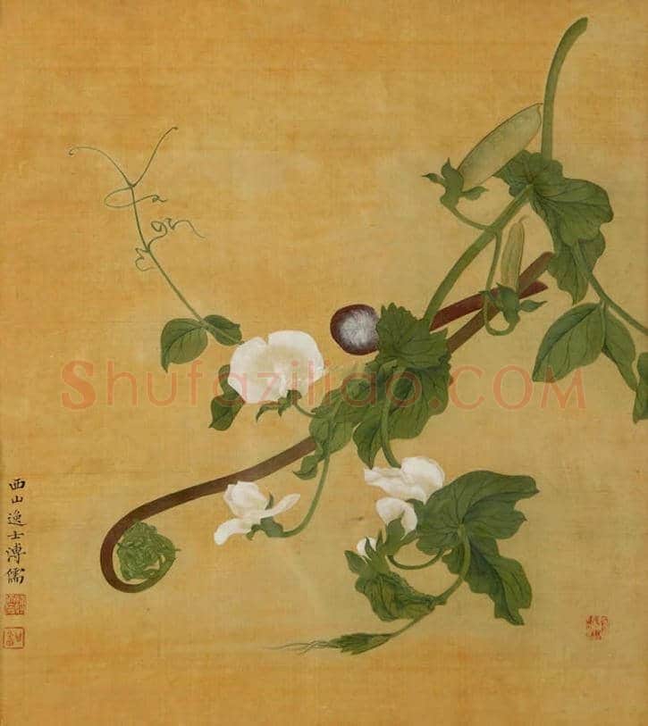 溥儒花卉作品欣赏 | 书画知识