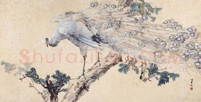 张书旂花鸟画作品欣赏 | 书画讲解