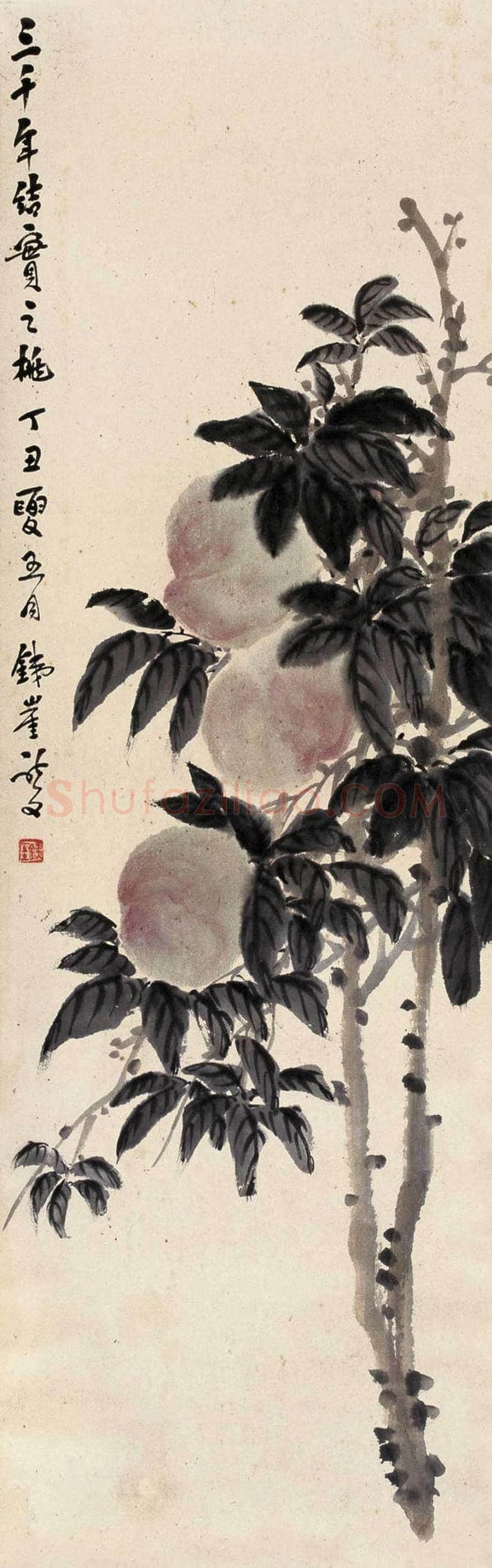 钱瘦铁花鸟画作品欣赏 | 书画讲解