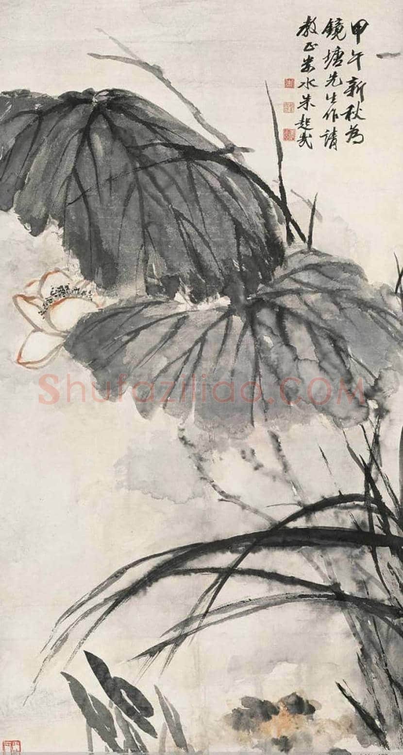 朱屺瞻荷花作品欣赏 | 书画科普