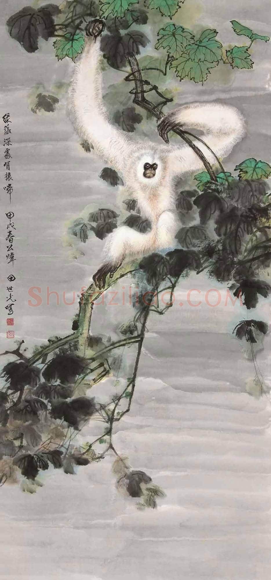 田世光猿猴作品精选 | 书画文摘