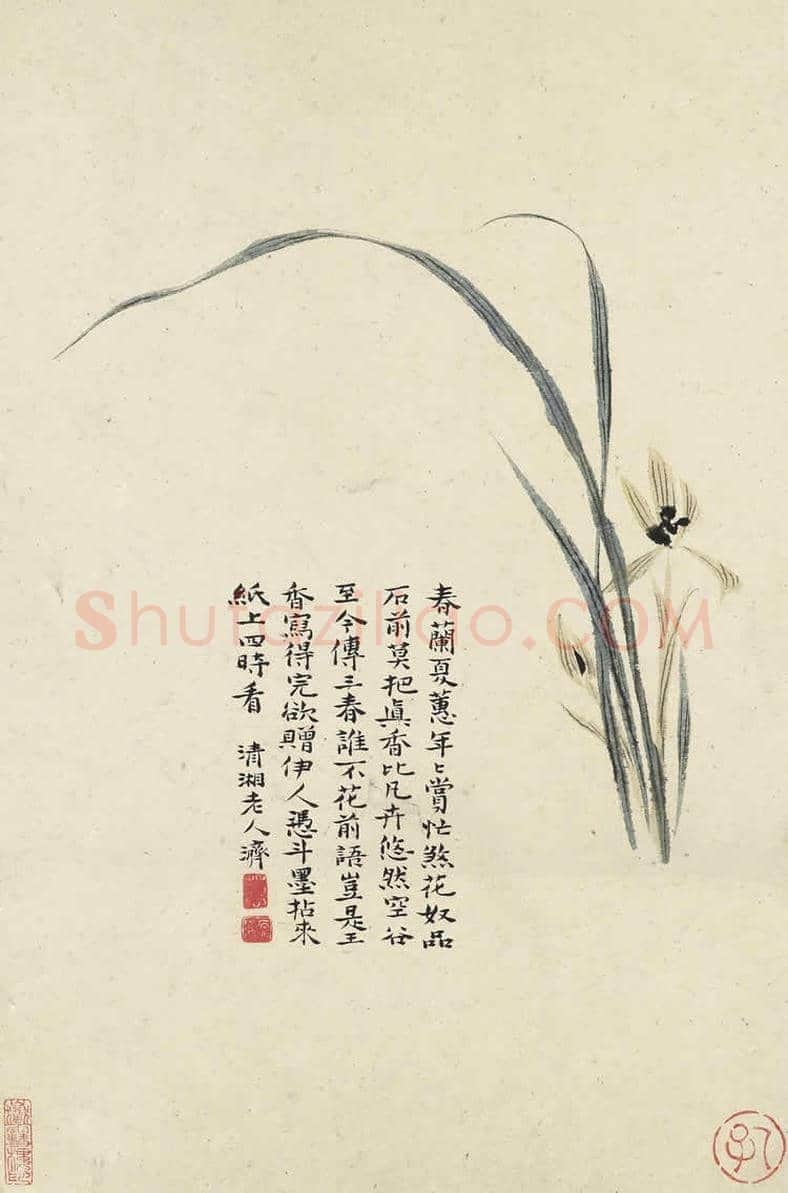 石涛《花卉册页》十帧 | 书画文摘