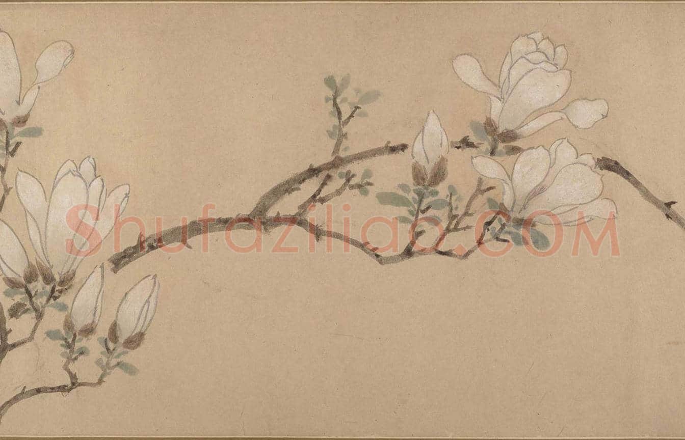 文徵明《白玉兰图卷》图赏 | 著名国画鉴赏