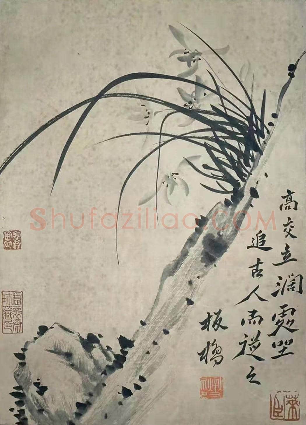 庞元济旧藏——郑板桥《九畹清芬册》 | 国画赏析