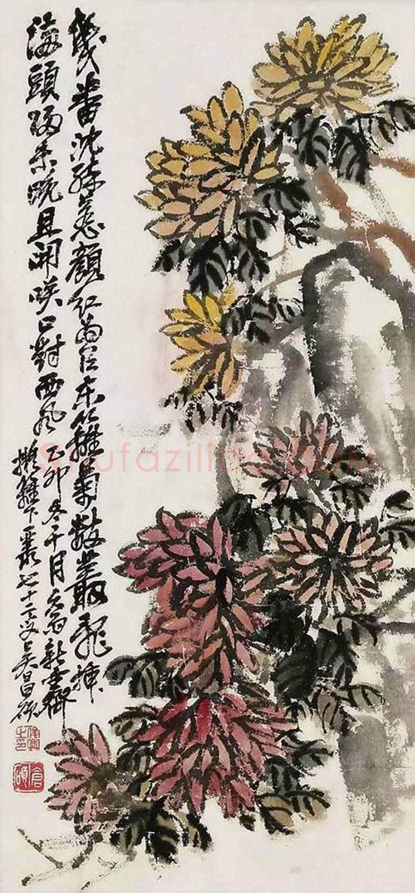 吴昌硕笔下的菊花 | 书画讲解