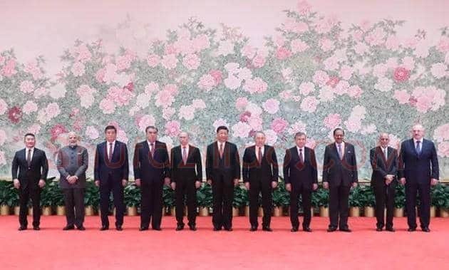 世上最大工笔画!上合峰会巨幅画作《花开盛世》 | 书画科普